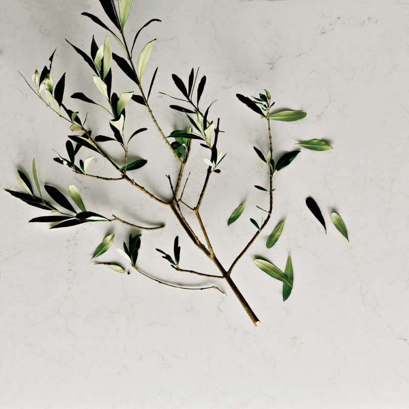 Minimalist Worktops